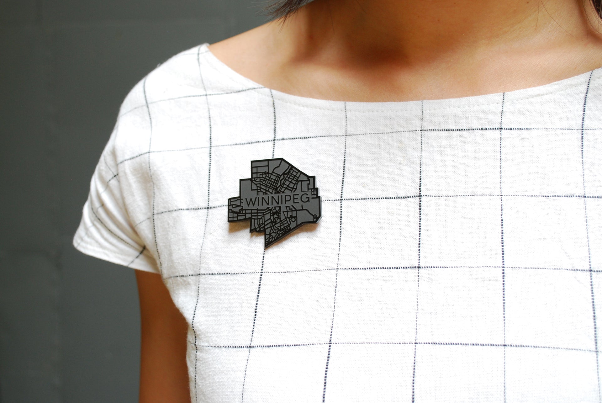 Winnipeg Map Pin